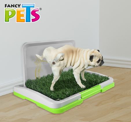 DOGGIE GRASS MINI P/MACHO