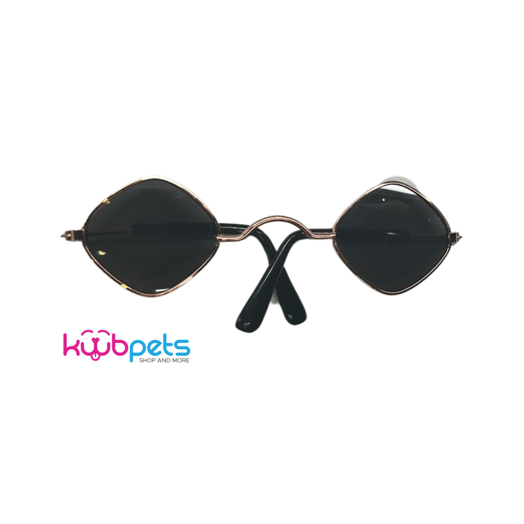 LENTES PARA PERRO O GATO