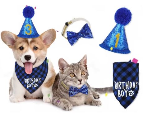 SET CUMPLEAÑOS PARA MASCOTAS GORRO, BANDANA Y GORRO