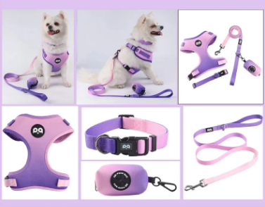 SET PECHERA CON COLLAR, CORREA Y BOLSA PARA HECES