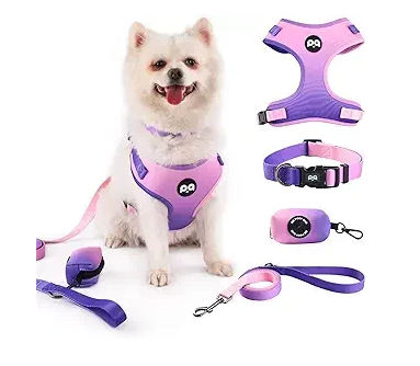 SET PECHERA CON COLLAR, CORREA Y BOLSA PARA HECES