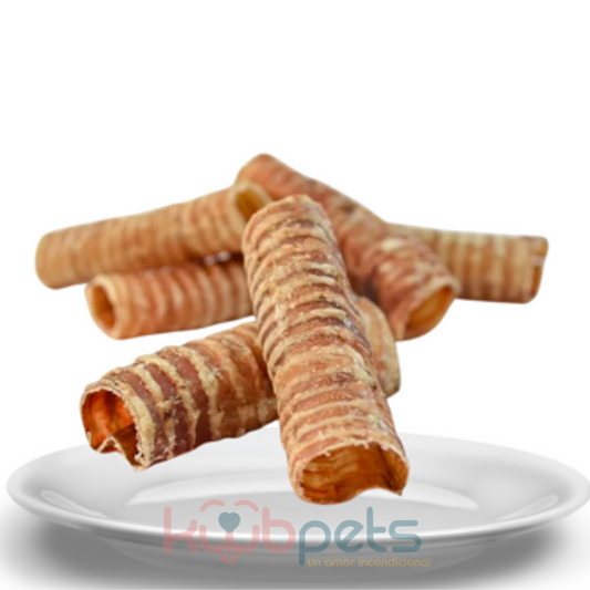 PREMIOS DESHIDRATADOS TRAQUEA DE RES 180-200 G