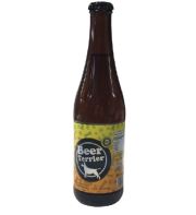 CERVEZA BEER TERRIER 335 ML
