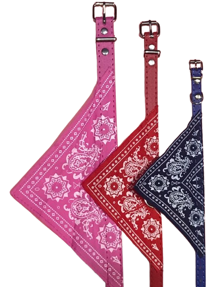 COLLAR PALIACATE