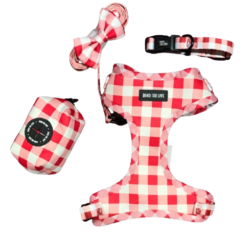SET DE 6 PIEZAS