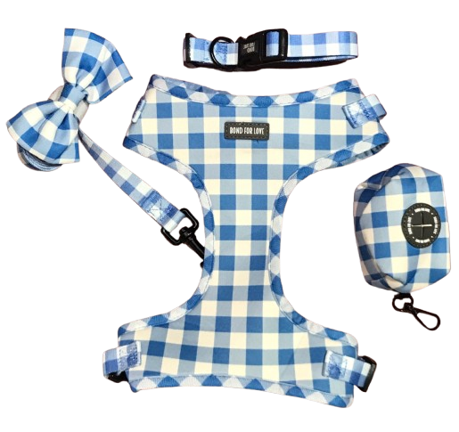 SET DE 6 PIEZAS