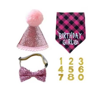 SET CUMPLEAÑOS PARA MASCOTA GORRO, BANDANA Y MOÑO COLOR ROSA