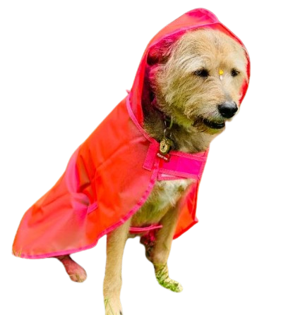 IMPERMEABLE COLOR ROSA