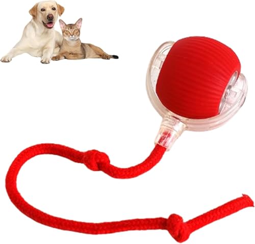 JUGUETE PARA PERRO PELOTA CON MOVIMIENTO COLOR ROJO