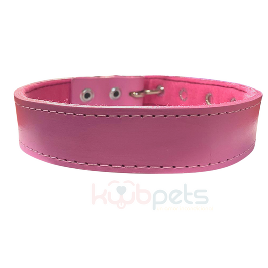 Collar de Piel de Colores